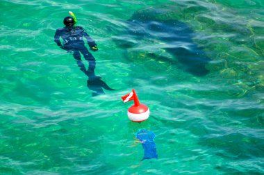 View of the harbor bay shore beach wild places Italy Sicily beautiful views clean clear water sea scuba diver explores the bottom of the sea