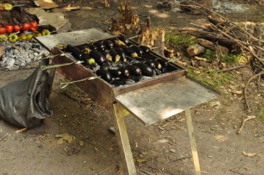 Cooking barbecue in the mountains in the wild vegetable kebab in the Ismaily mountains