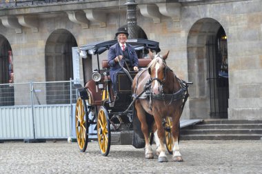 Amsterdam city center driver polishing the carriage to a shine prepares for customers a happy driver