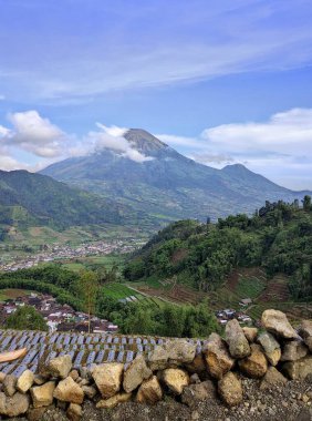Mavi gökyüzü ve yeşil ormanlı dağ manzarası