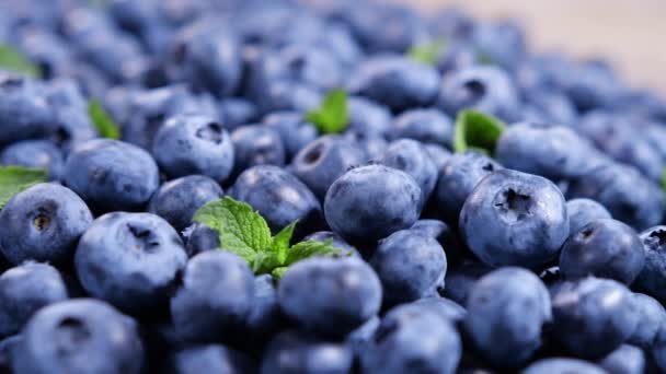 Blueberry, Beautiful Divers baies colorées gros plan, baies d'été mûres juteuses. Bio Fruits, Concept de saine alimentation, Aliments végétaliens, régime alimentaire. Vidéo 4K UHD — Video