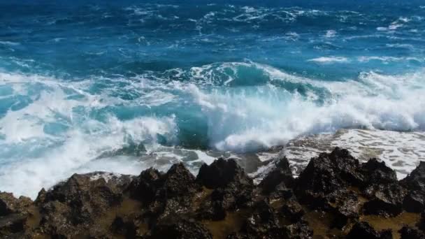 Κύματα που σπάζουν πάνω από επικίνδυνους βράχους, θαλάσσια καταιγίδα έννοια, Ηλιόλουστη μέρα θαλασσογραφία, Καταστροφική και θεαματική, κύματα ωκεανού συντριβή στα βράχια της ακτής δημιουργώντας μια έκρηξη του νερού, 4k — Αρχείο Βίντεο