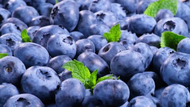 ब्ल्यूबेरी, सुंदर विविध रंगीत बेरीज जवळ-अप, रसदार परिपक्व उन्हाळी बेरी. बायो फळे, निरोगी खाण्याची संकल्पना, शाकाहारी अन्न, आहार. 4K UHD व्हिडिओ — स्टॉक व्हिडिओ