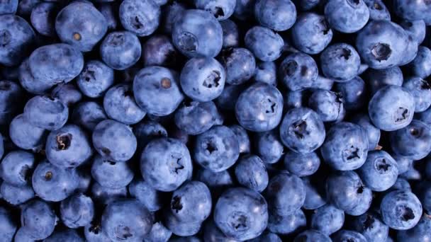 Blueberry, Beautiful Divers baies colorées gros plan, baies d'été mûres juteuses. Bio Fruits, Concept de saine alimentation, Aliments végétaliens, régime alimentaire. Vidéo 4K UHD — Video