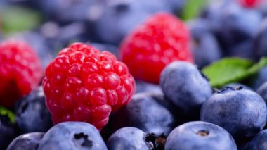 Böğürtlenler, çeşitli renklerde arka planlar, Sulu Olgun Yaz meyveleri. Nane yaprağı, ahududu, yabanmersini yakından çekim, biyomeyveler, sağlıklı beslenme, vejetaryen yemeği, diyet. 4K UHD video