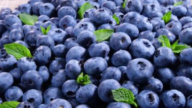 Yeşil nane yapraklı yaban mersini, yakın plan güzel renkli böğürtlenler, sulu olgun yaz meyveleri. Vitaminler Kokteyl konsepti. Biyolojik meyveler, sağlıklı beslenme, vejetaryen yemekleri, diyet. 4K UHD video