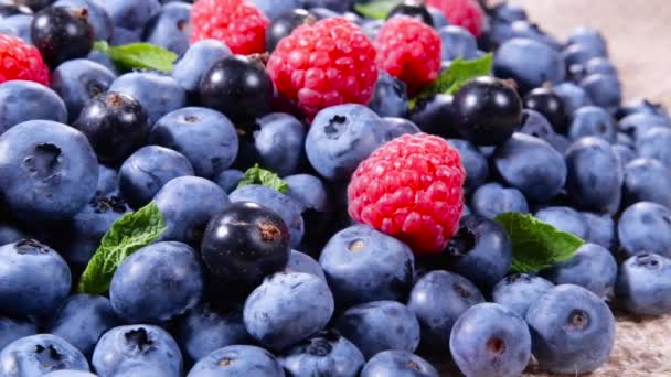 Μούρα, Διάφορα πολύχρωμα φόντο, Ζουμερό Ώριμο Καλοκαιρινό μούρο. Η ιδέα του κοκτέιλ. Φύλλα μέντας, Βατόμουρο, Blueberry close-up, βιολογικά φρούτα, υγιεινή διατροφή, χορτοφαγικά τρόφιμα, διατροφή. Βίντεο 4K UHD — Αρχείο Βίντεο