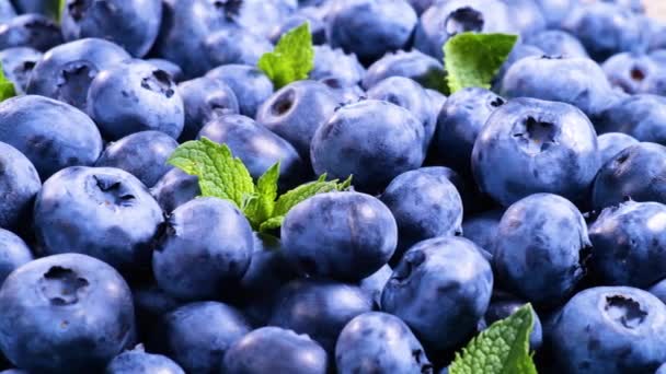 Blueberry Various Colorful Berries Close Juicy Ripe Summer Berry Bio — Stock Video