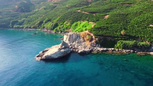 Flygfoto landskap, Berg på stranden, turkost hav och gröna växter, Enorma stenstrukturer, Orörd natur — Stockvideo