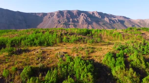 Schöne Landschaft aus der Luft in 4k, Berg und Hügel mit Wald im Sommer Sonniges Wetter, Dramatisches geologisches Wunder mit grünen Bäumen. Vulkan Nemrut in der Türkei — Stockvideo