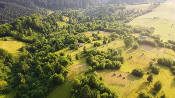 Volo aereo drone vista sulla zona rurale e pineta in montagna al tramonto, tempo soleggiato e ora d'oro. Bellissimo paesaggio luminoso in colori gialli con luce solare — Video Stock