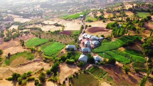 Pequeño pueblo con un hermoso paisaje, Campo con la comunidad rural tradicional en las horas doradas al amanecer. Cultivo y agricultura. 4k Aerial Drone disparo — Vídeo de stock