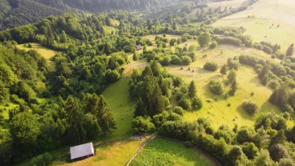 Volo aereo drone vista sulla zona rurale e pineta in montagna al tramonto, tempo soleggiato e ora d'oro. Bellissimo paesaggio luminoso in colori gialli con luce solare — Video Stock