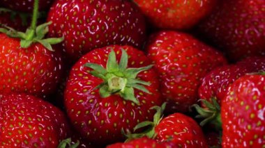 Çilek. Kırmızı Sulu Olgun Çilekler, Yakın plan, Lezzetli Yaz Meyveleri. Taze Hasat Çilekleri 'nin geçmişi. Sağlıklı Doğal Vegan Gıda Konsepti