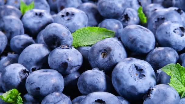 Blueberry, Beautiful Various colorful Berries close up, Juicy Ripe Summer berry Bio Fruits, Концепція здорового харчування, веганська їжа, дієта. 4K UHD video — стокове відео