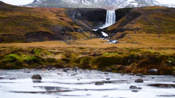 Cachoeira na Islândia, Paisagem vulcânica intocada contra o pano de fundo das montanhas, atração popular na temporada de outono e inverno — Vídeo de Stock