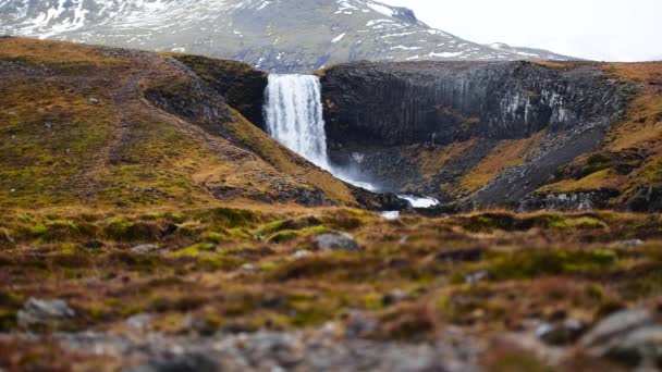 Vattenfall på Island, Orörd vulkaniska landskap mot bakgrund av bergen, populär attraktion under hösten och vintern — Stockvideo