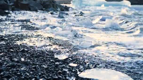 Eisbrocken auf schwarzem Sand, Klimaschutzkonzept der Erderwärmung, Eisberge in der Jokulsarlon Gletscherlagune, Island — Stockvideo