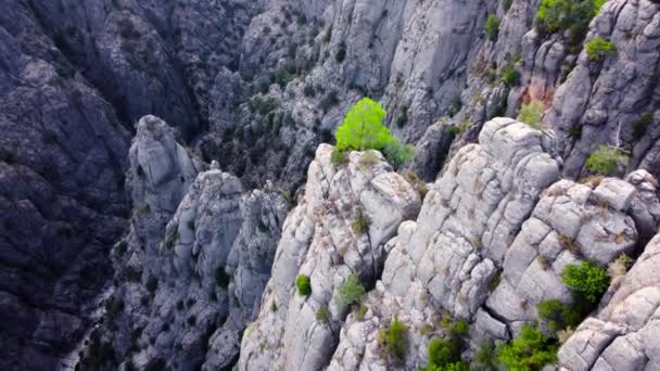 自然の奇跡、森や木々と山の谷の風景、巨大な崖や岩の上に壮大な空中ドローン飛行、劇的な地質学的不思議。鳥の目のビュー4k.トルコのタージ峡谷 — ストック動画