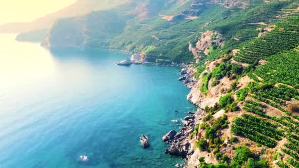 Vista aérea del paisaje, Montaña en la orilla del mar, mar turquesa y árboles verdes, Enormes estructuras de piedra, Naturaleza intacta — Vídeo de stock