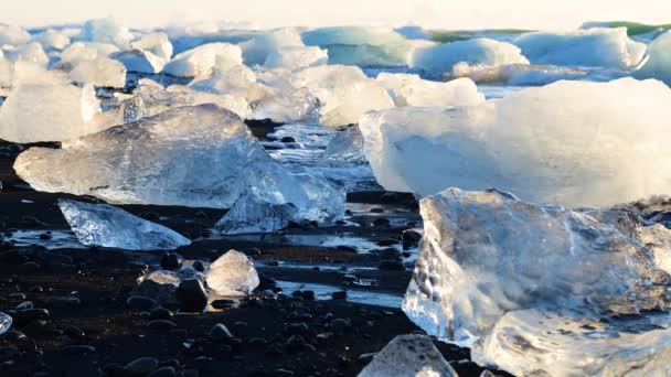 Куски льда на черном песке, Глобальное потепление, Концепция изменения климата, Айсберги в ледниковой лагуне Джоколсарлон, Бриллиантовый пляж в Исландии — стоковое видео