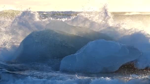 Kawałki lodu na czarnym piasku, Globalne ocieplenie, Koncepcja zmiany klimatu, Góry lodowe w lagunie Jokulsarlon, Diamentowa plaża na Islandii — Wideo stockowe
