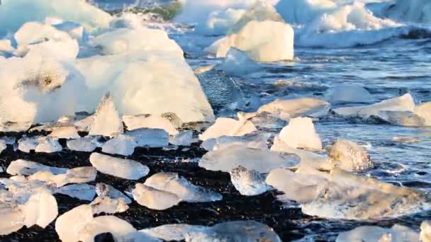 Trozos de hielo sobre arena negra, Calentamiento Global, Concepto de Cambio Climático, Icebergs en Laguna Glaciar Jokulsarlon, Playa Diamond en Islandia — Vídeos de Stock