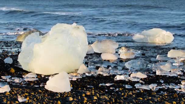 Κομμάτια πάγου στη μαύρη άμμο, την παγκόσμια θέρμανση, την κλιματική αλλαγή Concept, παγόβουνα στο Jokulsarlon Glacier Lagoon, Diamond beach στην Ισλανδία — Αρχείο Βίντεο
