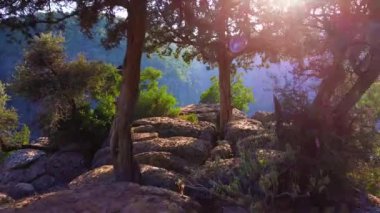 Kanyonun tepesindeki yoğun büyülü orman, devasa muhteşem kayalar, dağların üzerinden 4K hızla uçan destansı hava aracı.