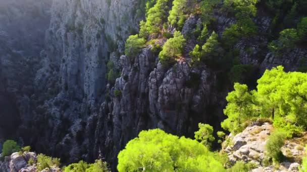 Bosque mágico denso en la cima del cañón, enormes rocas espectaculares del acantilado, vuelo épico de drones aéreos sobre montañas en 4k, hermosa maravilla geológica dramática con árboles verdes — Vídeos de Stock