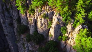 Kanyonun tepesindeki yoğun büyülü orman, devasa muhteşem kayalar, gün batımında dağların üzerinden uçan destansı insansız hava aracı, yeşil ağaçlı güzel jeolojik mucize.