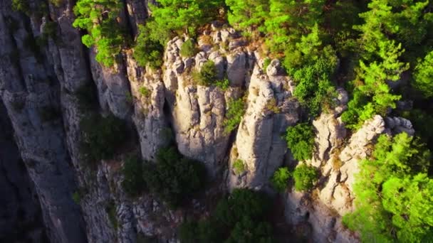 Kanyonun tepesindeki yoğun büyülü orman, devasa muhteşem kayalar, gün batımında dağların üzerinden uçan destansı insansız hava aracı, yeşil ağaçlı güzel jeolojik mucize. — Stok video