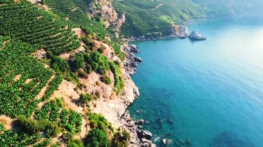 Deniz kıyısındaki dağ, turkuaz deniz ve yeşil ağaçlar, hava manzarası, güzel sahil şeridi ve dokunulmamış doğa. Türkiye