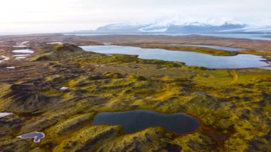 İzlanda üzerinde uçan, kuş bakışı manzaralı sarı yosunlu sihirli volkanik manzara. Güzel ve el değmemiş doğa