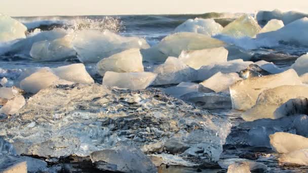Diamantová pláž na Islandu, kusy čistého ledu na černém písku při východu slunce — Stock video