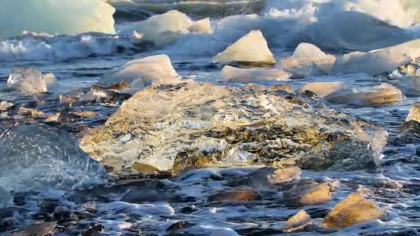 Kawałki lodu na czarnej piaszczystej plaży, koncepcja globalnego ocieplenia i zmiany klimatu, góry lodowe w lagunie Jokulsarlon, plaża diamentowa na Islandii — Wideo stockowe