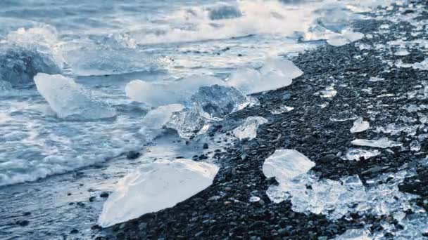 IJsbrokken op zwart zand, klimaatveranderingsconcept, ijsbergen in de Jokulsarlon gletsjerlagune, IJsland — Stockvideo