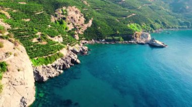Şafak vakti sahil şeridi, turkuaz deniz ve yeşil ağaçlarla dolu deniz kıyısı, tatil köyünün güzel hava manzarası.