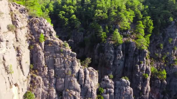 Vol aérien au-dessus d'un énorme canyon impressionnant, Une belle merveille géologique avec des arbres verts — Video