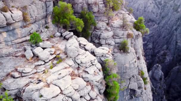 Letecký let přes ohromný impozantní kaňon, nádherný geologický zázrak se zelenými stromy — Stock video