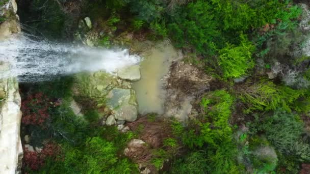 Tropikal yeşil ormanda şelale, dağda nehir olan büyülü ormanın gökyüzü manzarası — Stok video