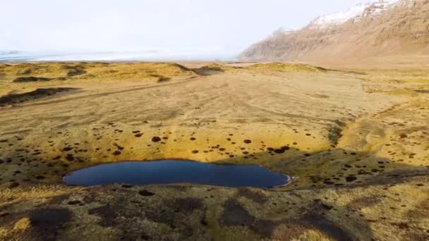 İzlanda üzerinde uçan, kuş bakışı manzaralı sarı yosunlu sihirli volkanik manzara. Güzel ve el değmemiş doğa — Stok video
