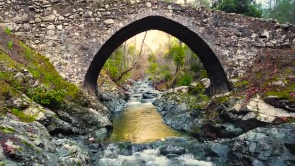 Dağ Nehri üzerindeki antik köprü, sonbahar havası manzarasında terk edilmiş vahşi orman nehir taşları. — Stok video