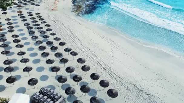 Luchtfoto van parasols op zandstrand, zonnig weer. Zomer in Tropisch landschap met palmbomen, parasols, zand, zeeblauw water. Vakantie en vakantie aan de paradijselijke kust — Stockvideo