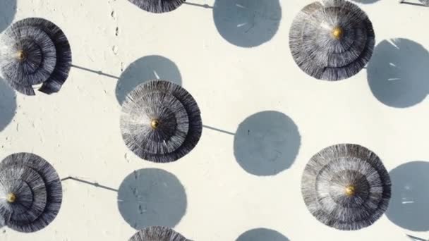 Vista aérea de guarda-chuvas na praia de areia, tempo ensolarado. Verão em paisagem tropical com palmeiras, guarda-sóis, areia, água azul do mar. Férias e férias na costa paradisíaca — Vídeo de Stock