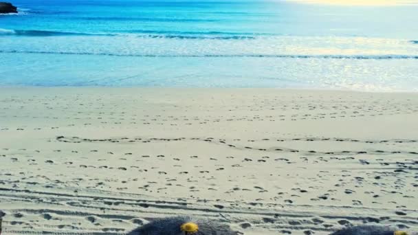 Férias e férias na costa do mar, Vista aérea de guarda-chuvas na praia de areia, tempo ensolarado. Verão em paisagem tropical com palmeiras, guarda-sóis, areia, mar azul — Vídeo de Stock