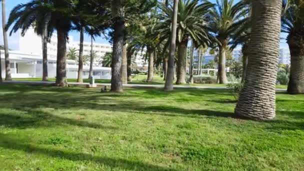 Park z palmami w turystycznej części Cypru, słoneczny dzień z piękną pogodą, region letniskowy, krajobraz z lotu ptaka — Wideo stockowe