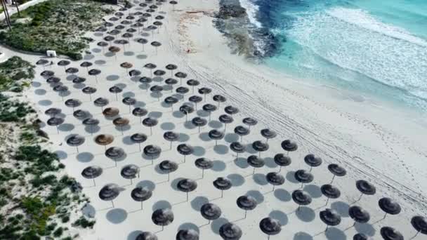 Райський пляж для відпочинку з парасолями біля моря, сонячна погода. Відпустка і відпустка на узбережжі раю влітку, вигляд з повітря, Кіпр — стокове відео