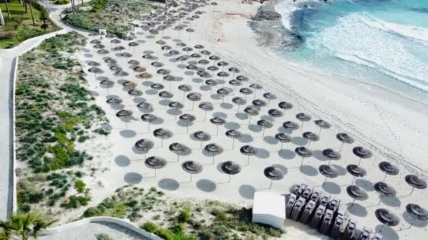 Letecký Výhled Slunečníky Písečné Pláži Slunečné Počasí Léto Tropické Krajině — Stock video
