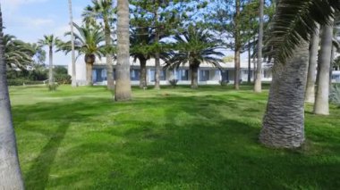  Kıbrıs Rum Kesimi 'nde Palm Trees ile park, güzel havayla güneşli bir gün, yaz tatili bölgesi, hava manzarası. Yüksek kalite 4k görüntü